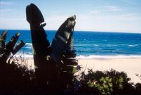 Sodwana Bay